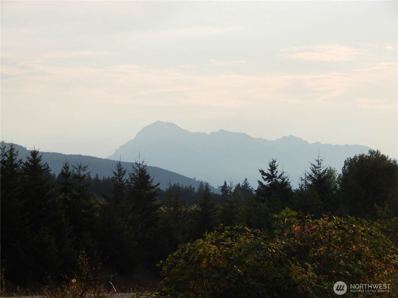 842 Still Road - Photo 1