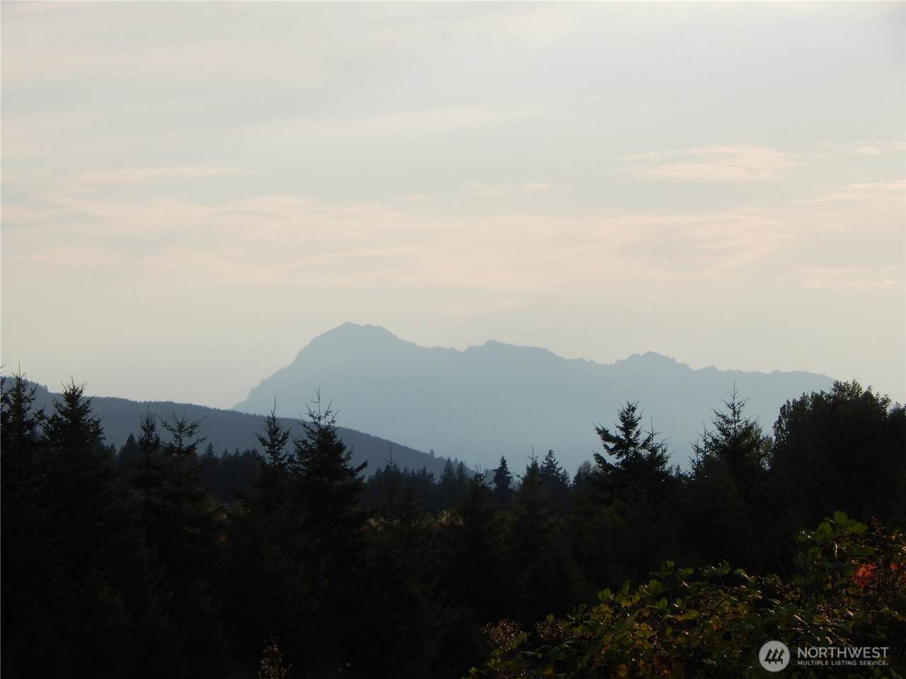 862 Still Road - Photo 1