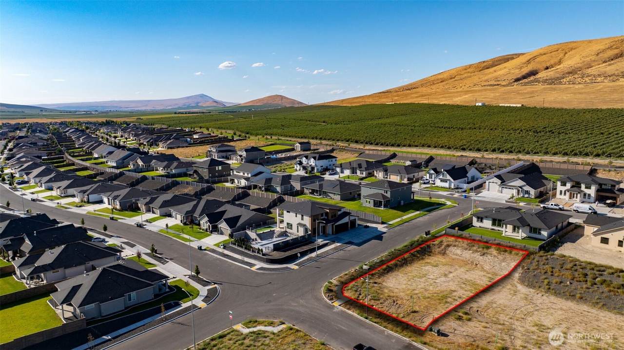 3776 Corvina Street - Photo 1