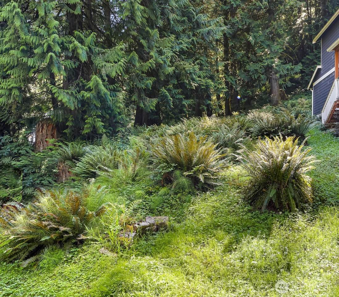 14 Woodpecker Place - Photo 1