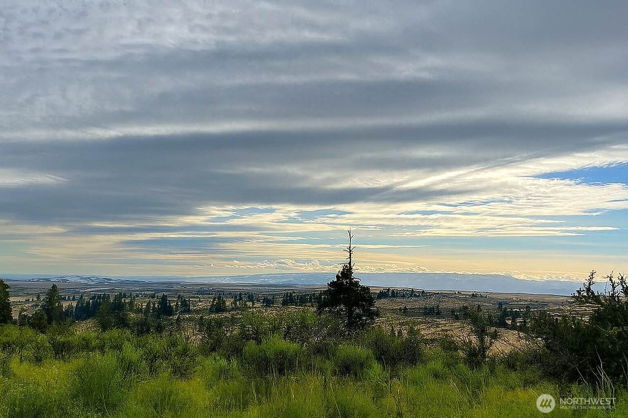 109 Wild Turkey Road - Photo 1