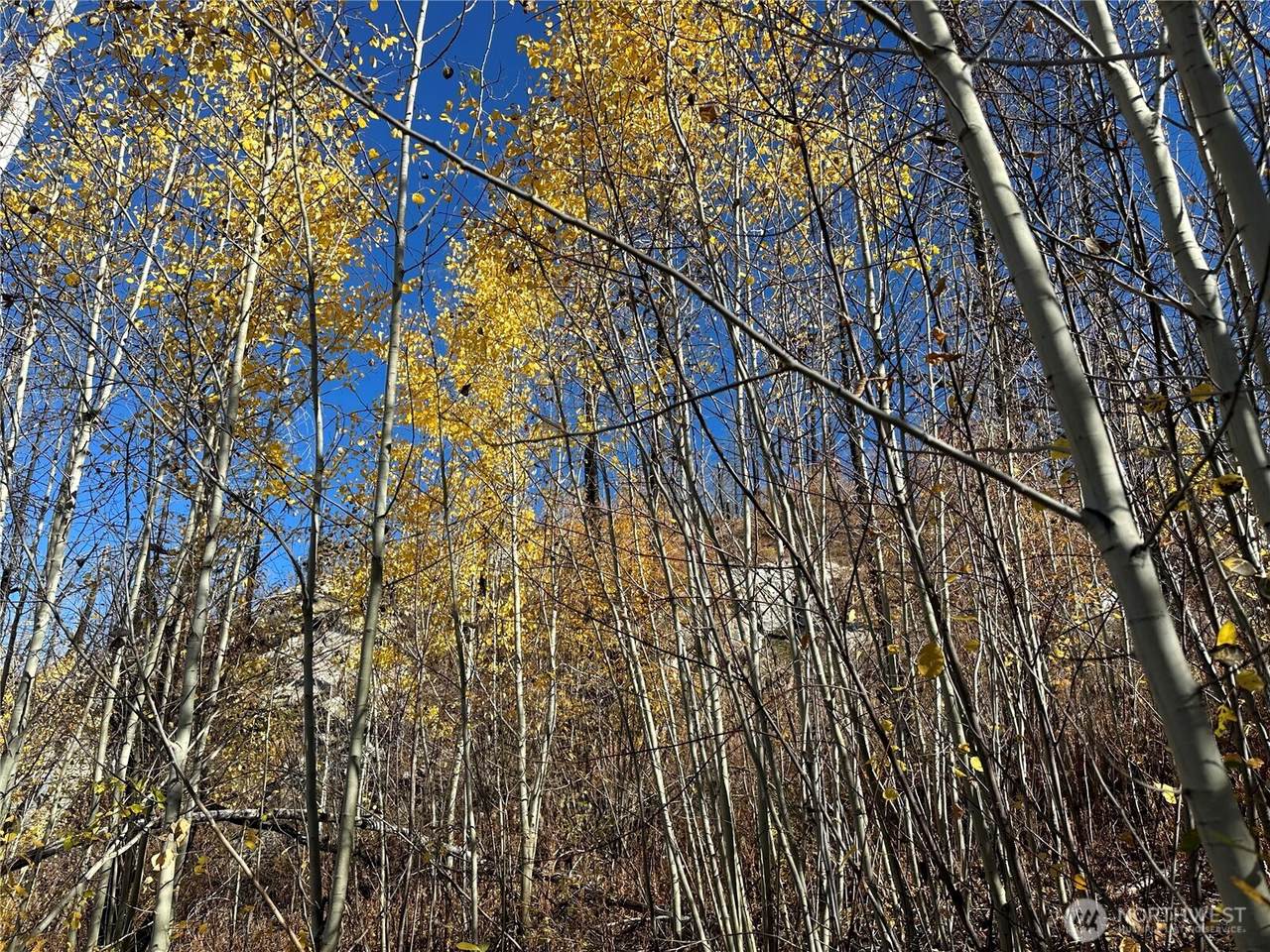 0 Tbd Evans Ranch Road - Photo 1