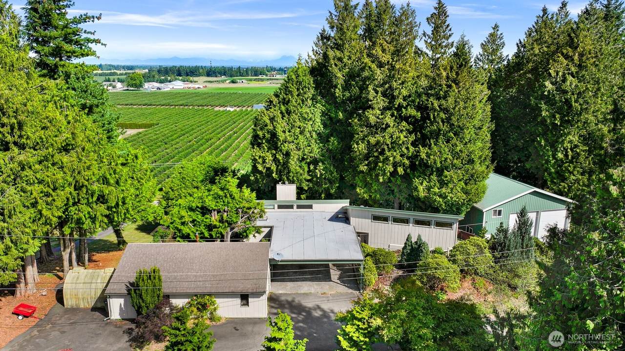 559 Hemmi Road - Photo 1