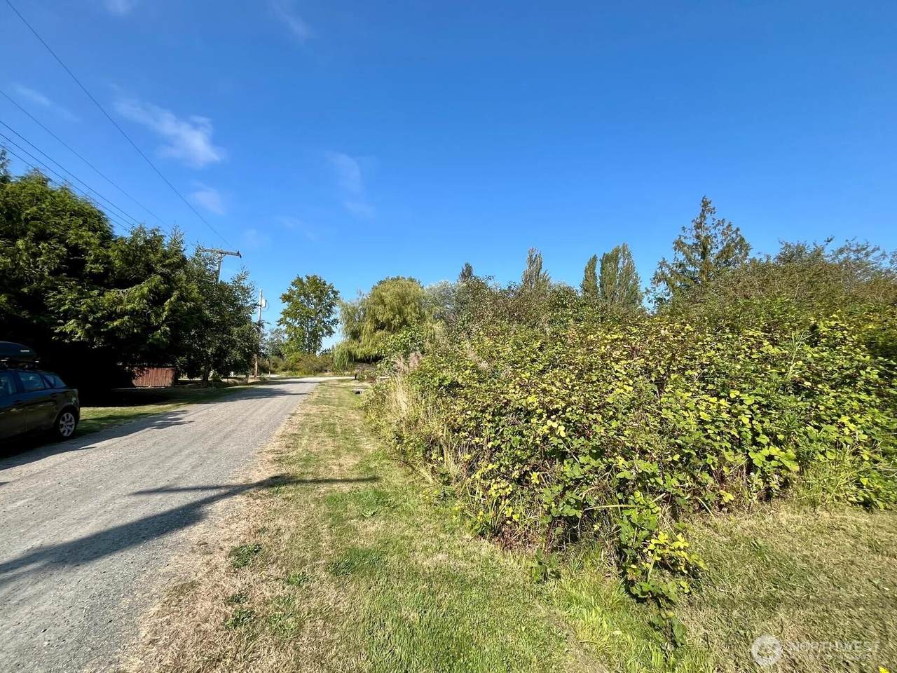 1920 Patos Way - Photo 1