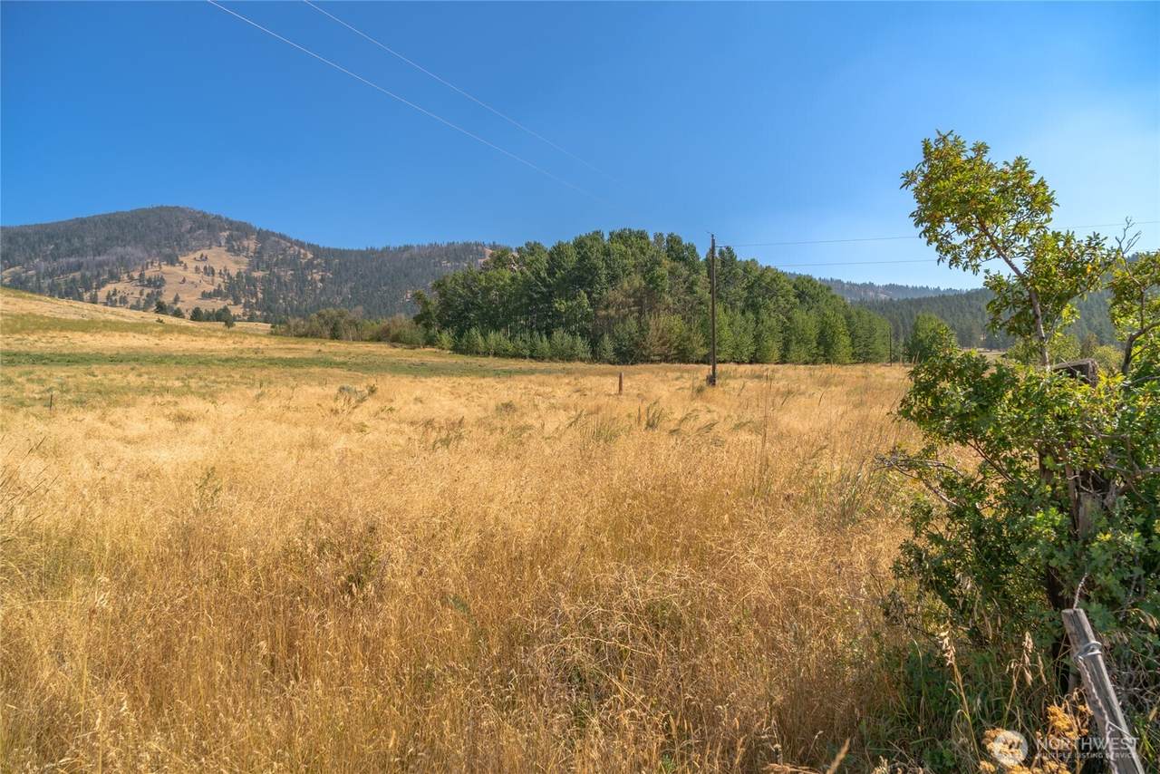 111 Fritz Road - Photo 1