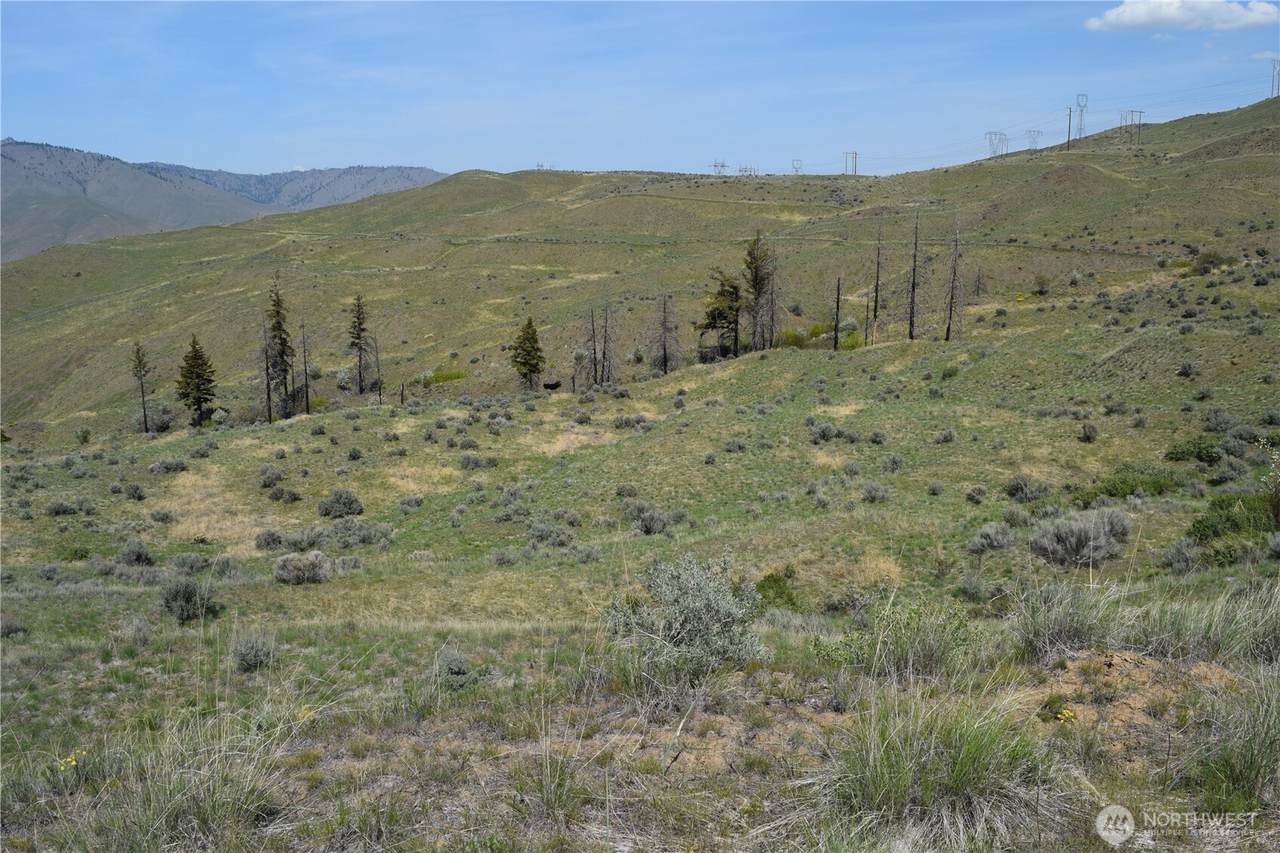 8 Blue Grade Road - Photo 1