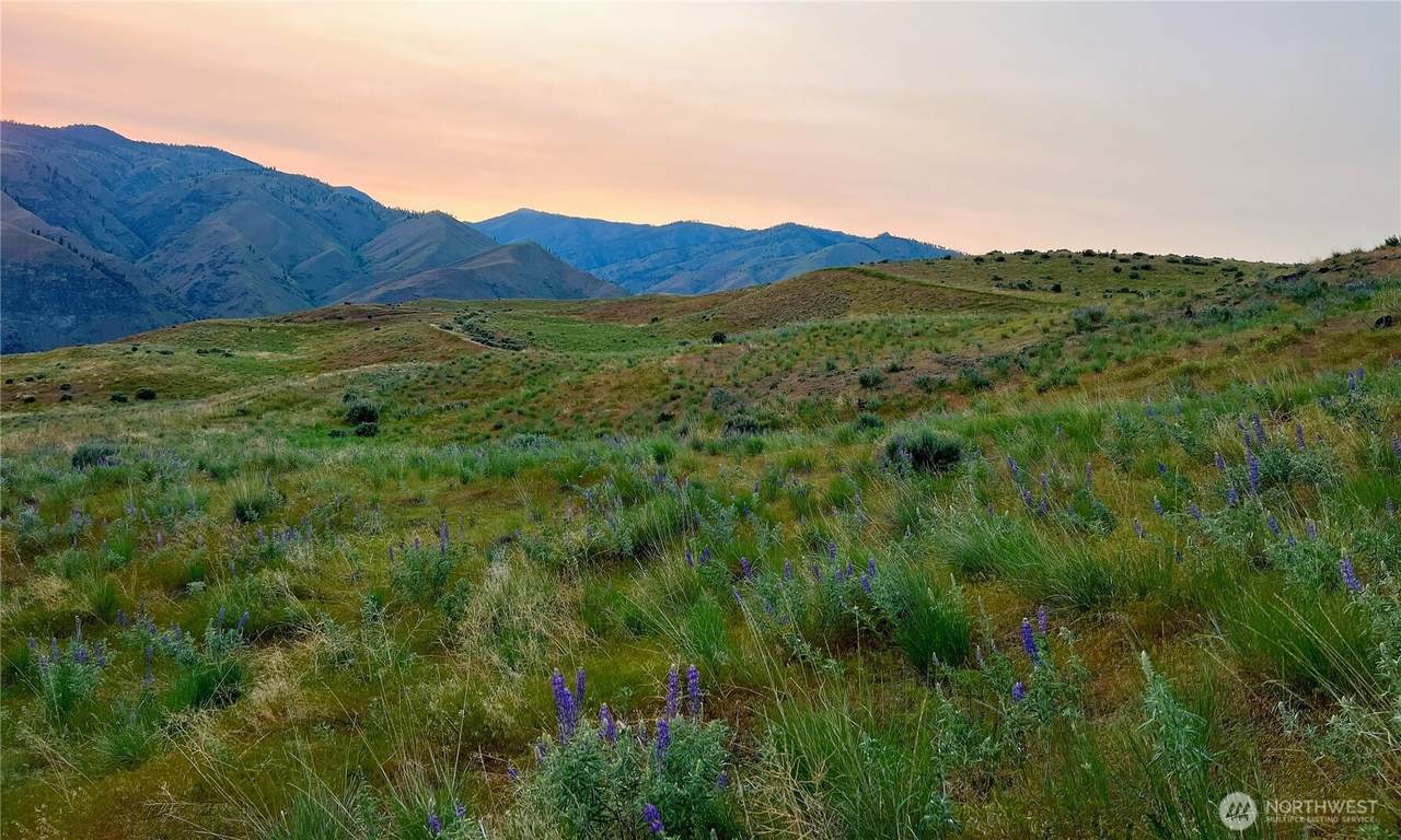 6 Blue Grade Road - Photo 1