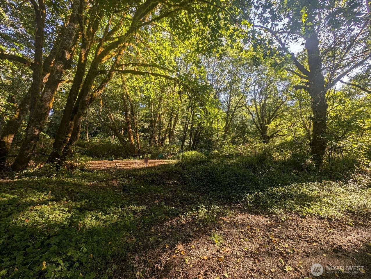 999 Whitcomb-Dimmel Road - Photo 1