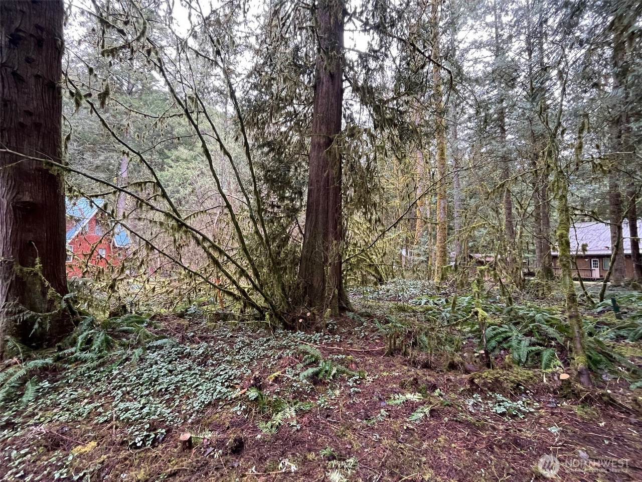 7138 Rainier Way - Photo 1