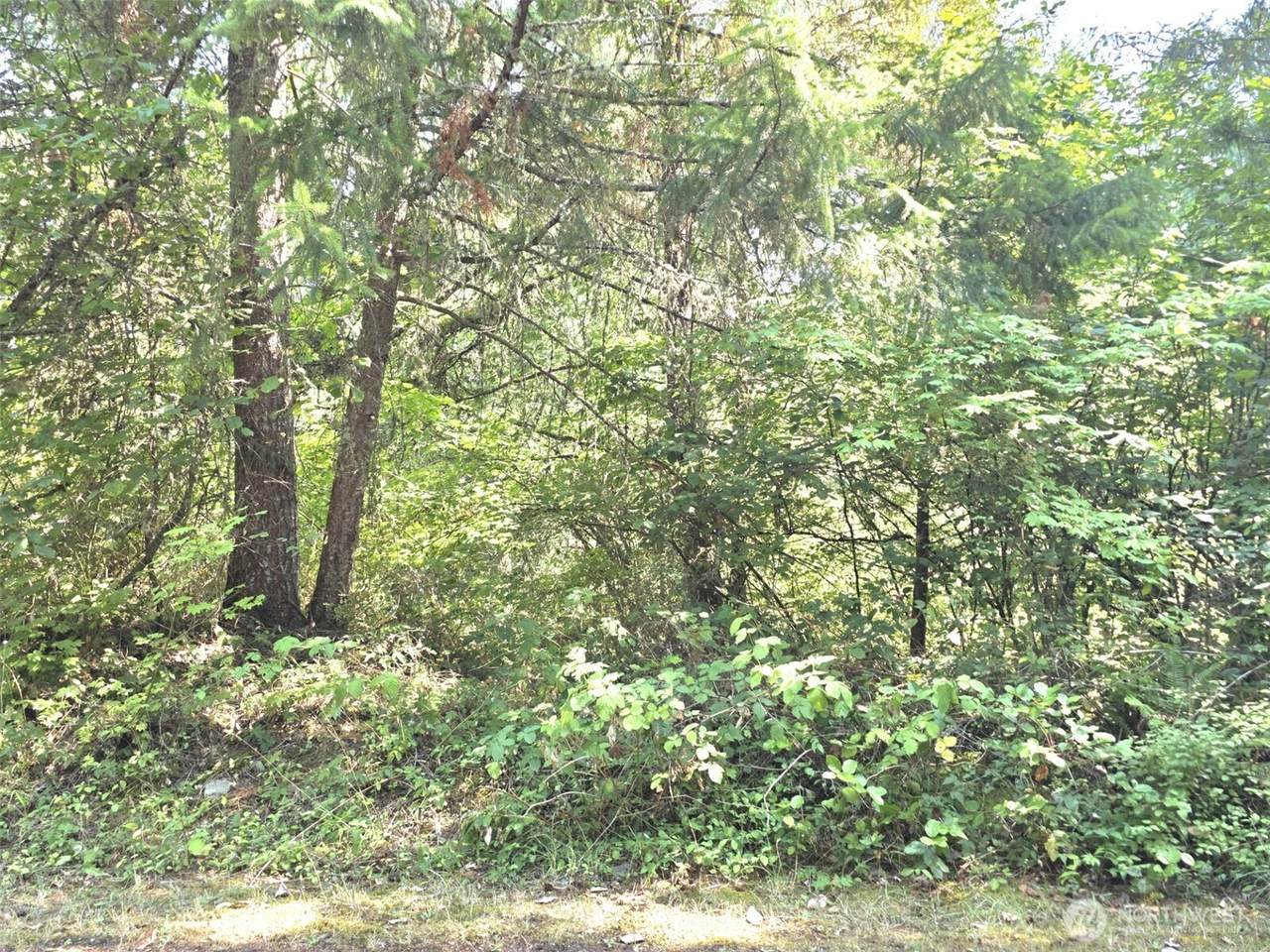 21815 Beachside Drive - Photo 1