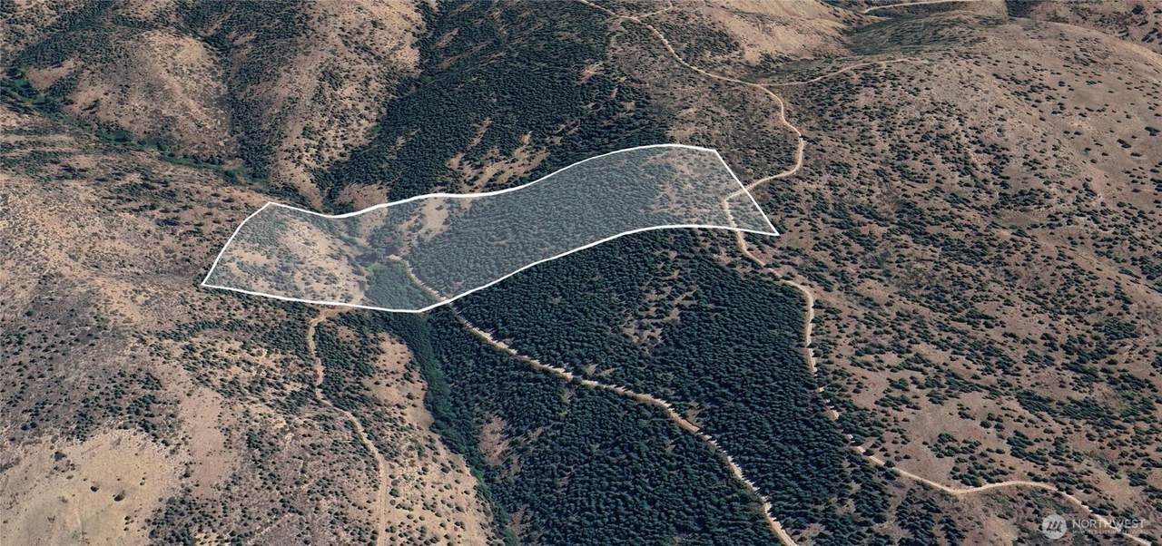 0 Potato Creek A3 - Photo 1