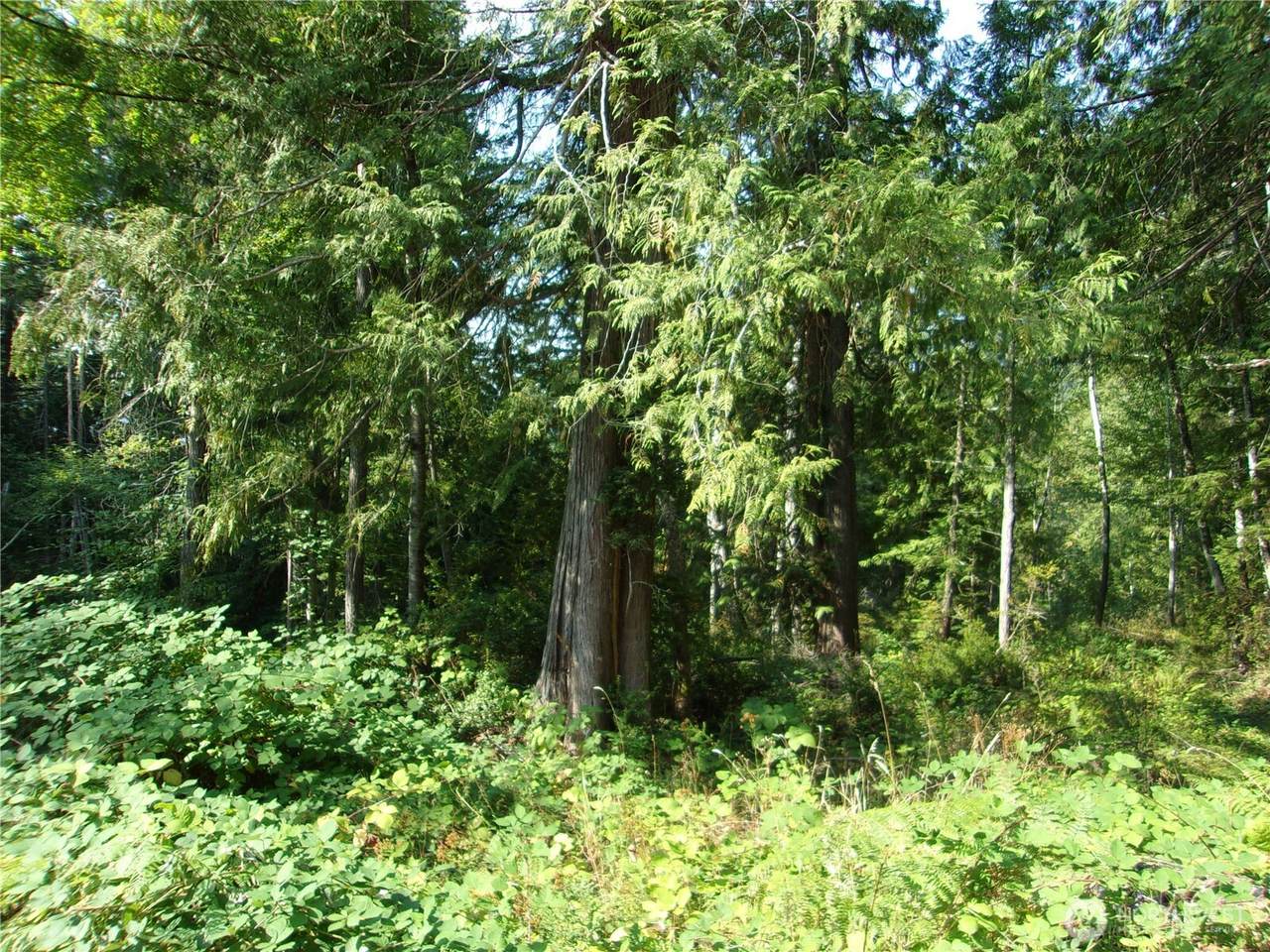 0 Yashi Road - Photo 1