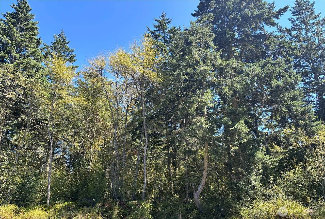 15 Xx7 Rainier Street - Photo 1