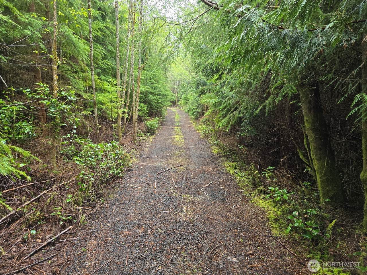 3183 Ocean Beach Road - Photo 1