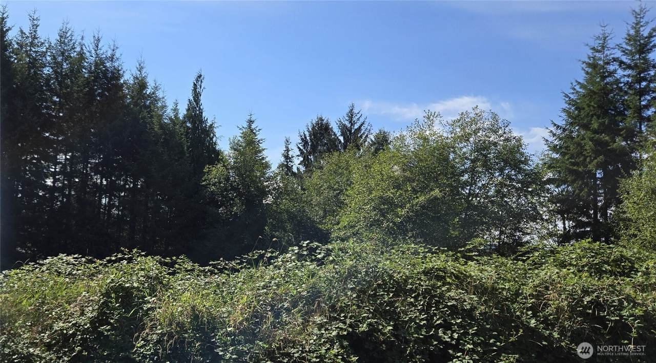 0 Fairview Court - Photo 1