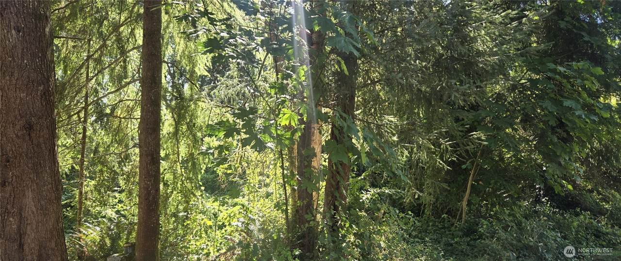 0 Highland Drive - Photo 1