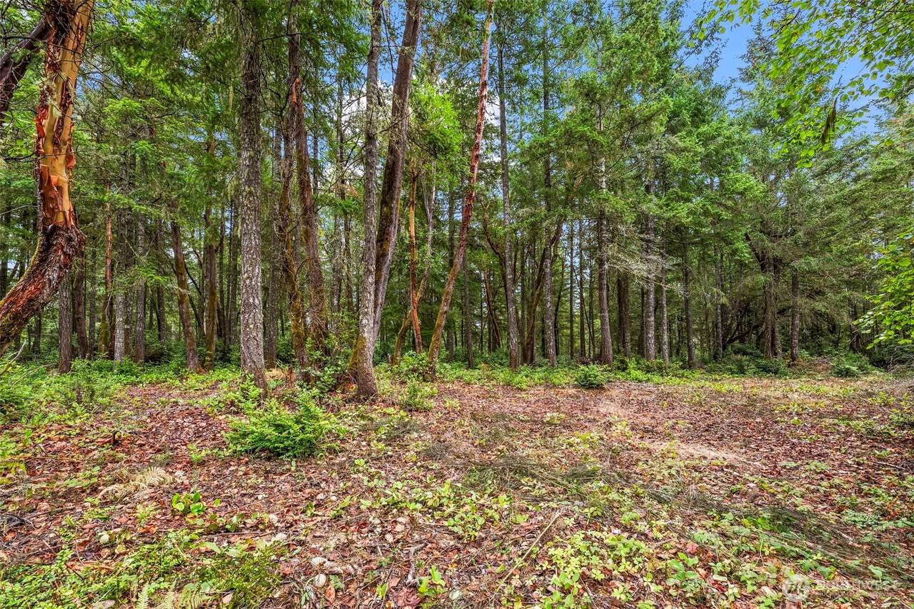 17420 74th Street - Photo 1