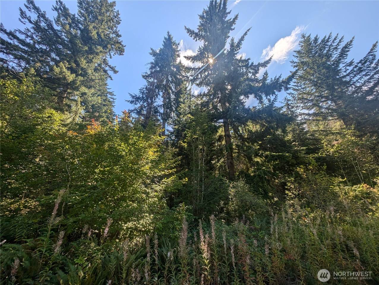 999 Hwy 101 Highway - Photo 1