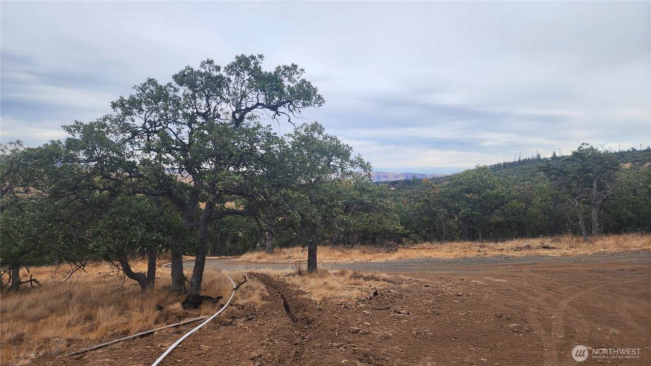 295 Oak Flatt Rd - Photo 1