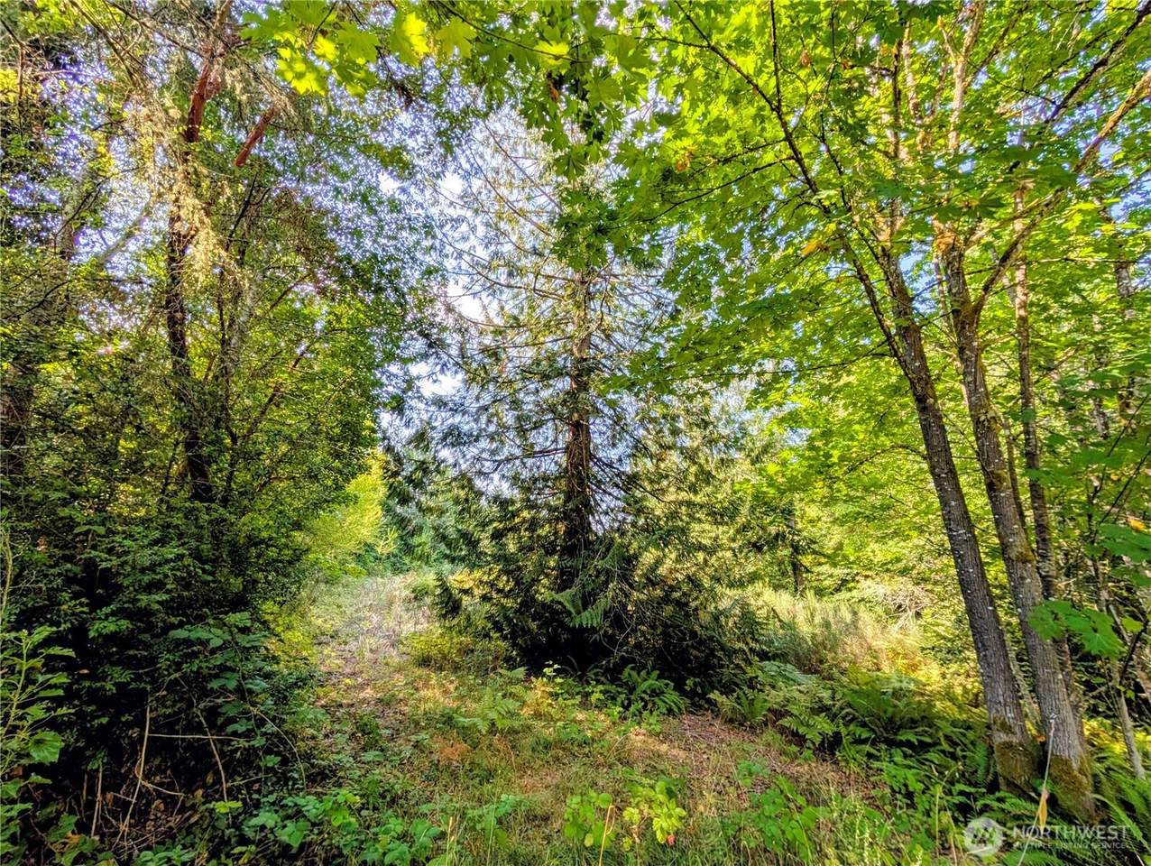 0 D Street - Photo 1