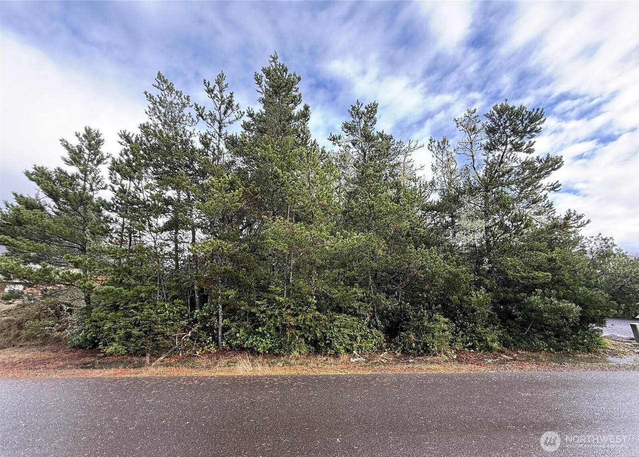 254 Olympic View Ave - Photo 1