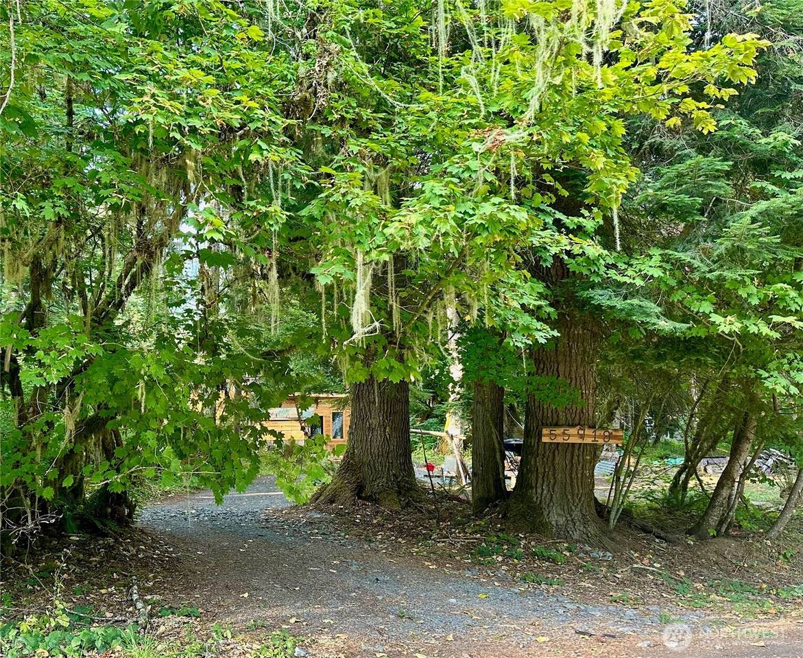 55918 317th Avenue - Photo 1