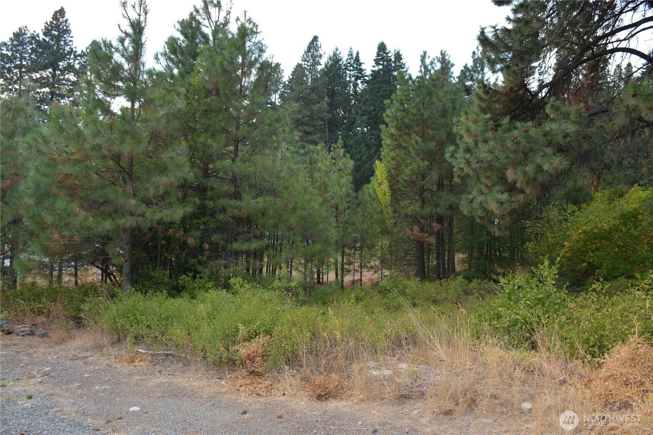 203 Nevada Avenue - Photo 1