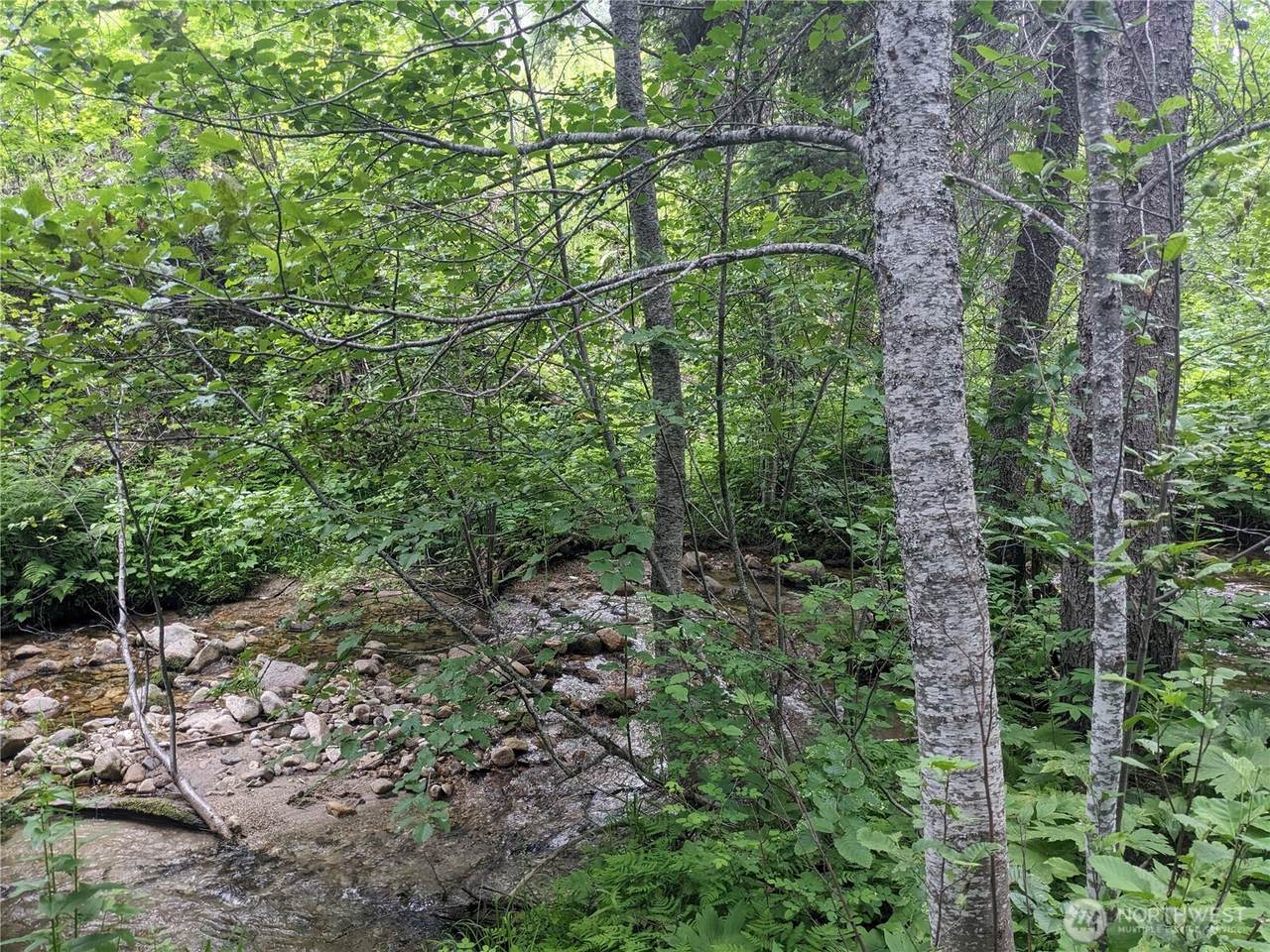 0 TBD Bia Road - Photo 1