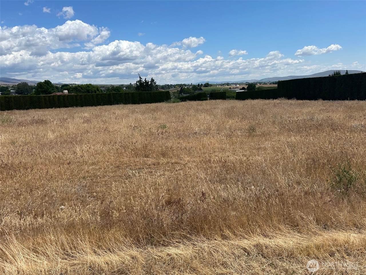 309 Canyon Road - Photo 1