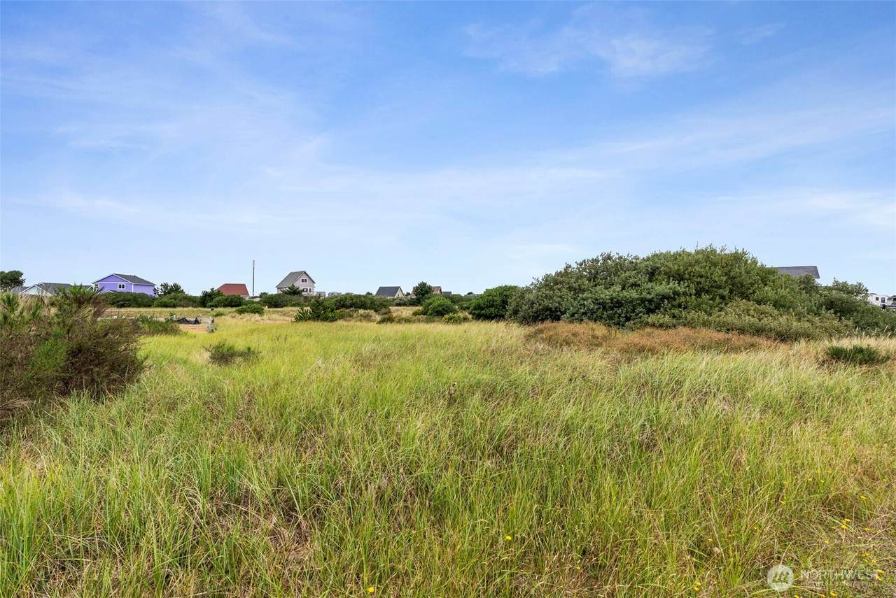 438 Portal Loop - Photo 1