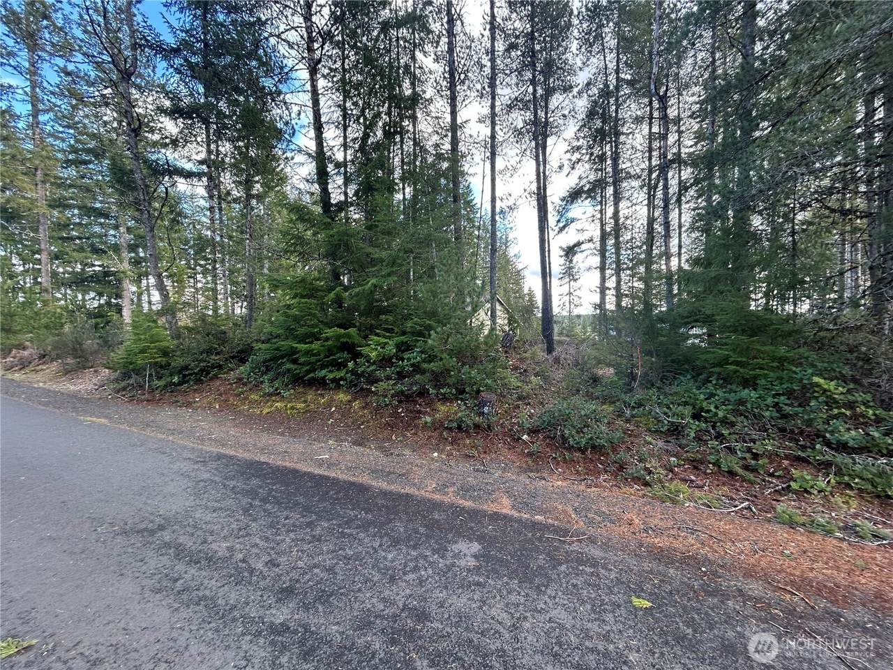 31 Hemlock Court - Photo 1