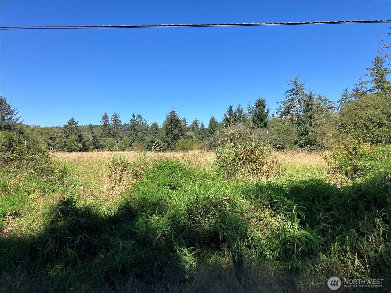 11111 Pan Handle Road - Photo 1