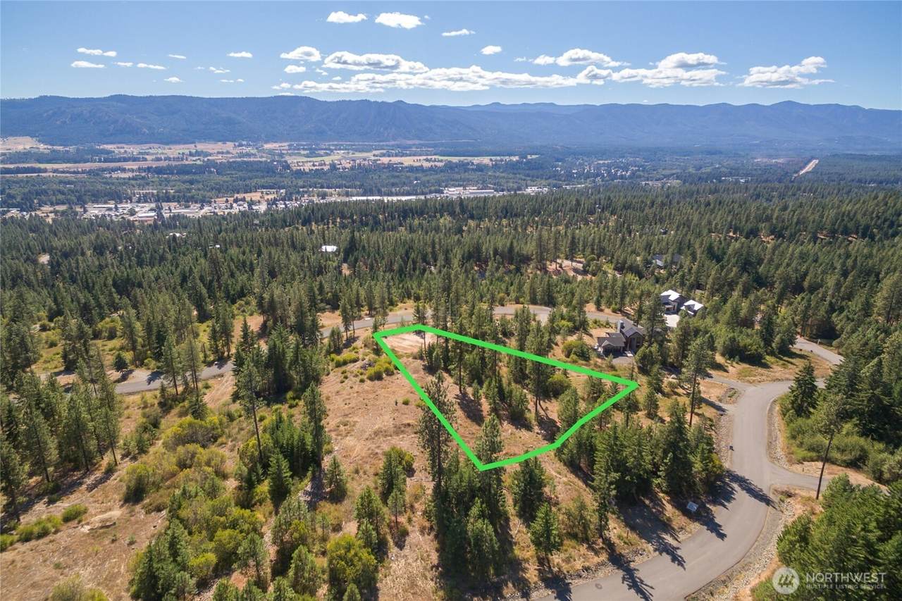 0 Forest Ridge Drive - Photo 1