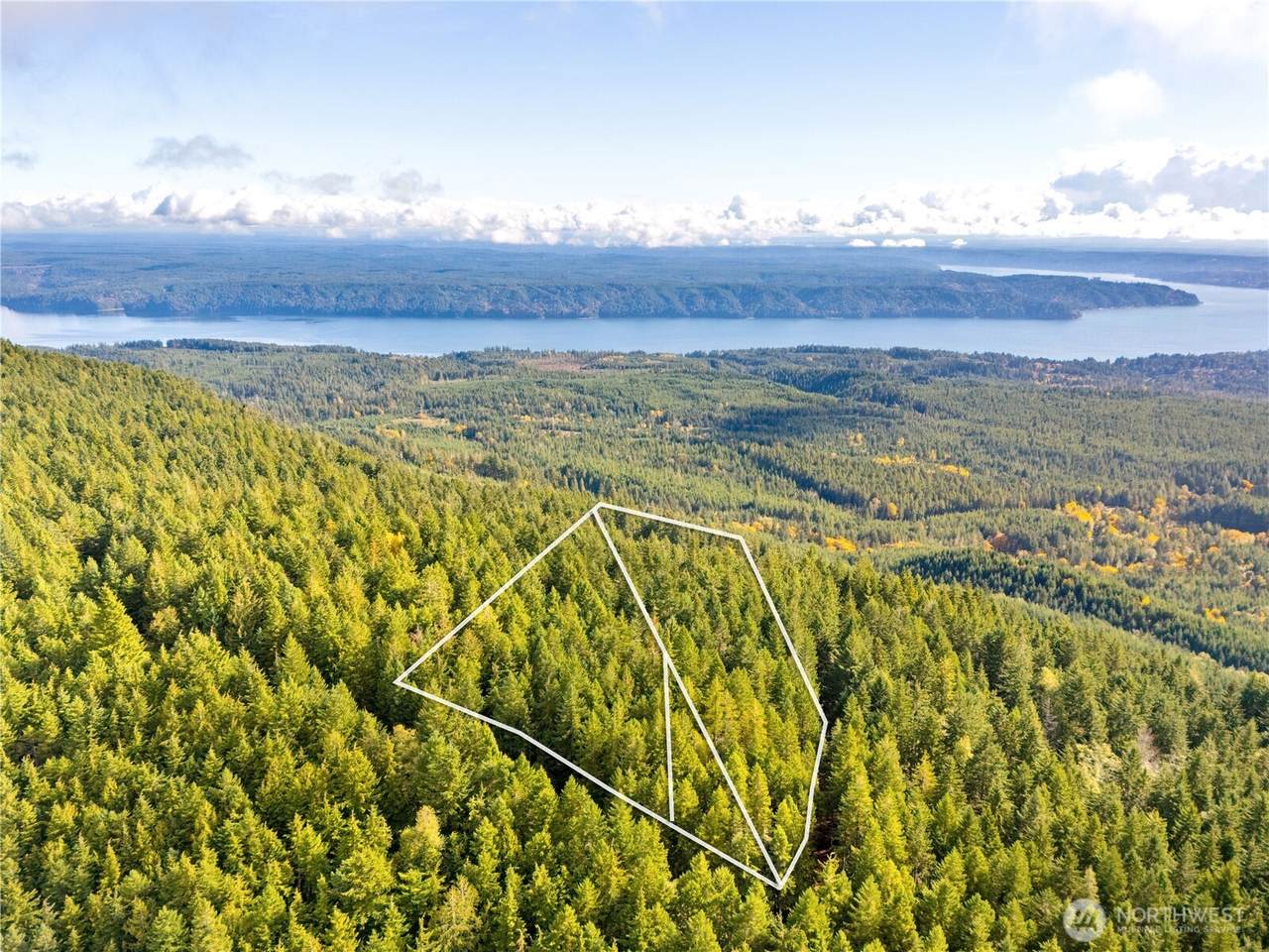 1350 Hilltop Loop Road - Photo 1