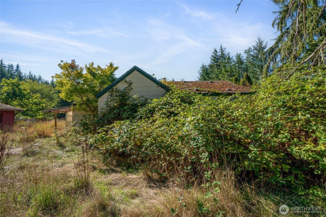 36716 Eatonville Cutoff Road - Photo 1