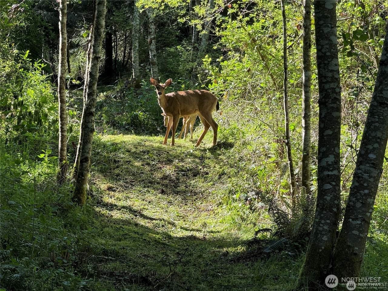 0 Highway 20 - Photo 1