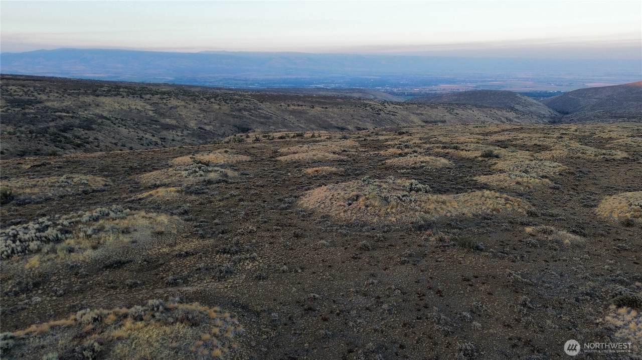 451 Coyote Run Lane - Photo 1