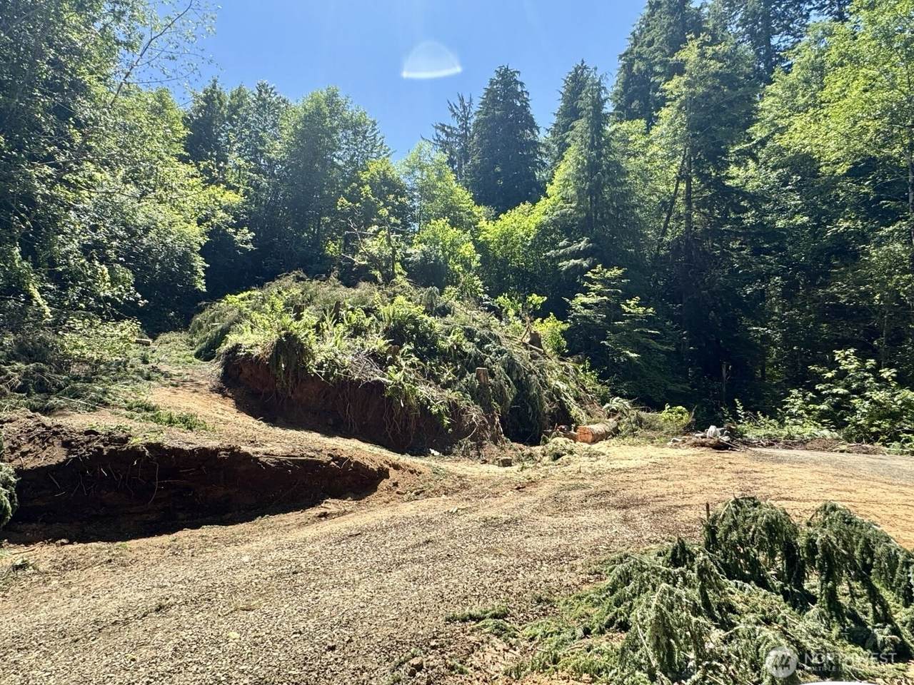 513 5th Avenue - Photo 1