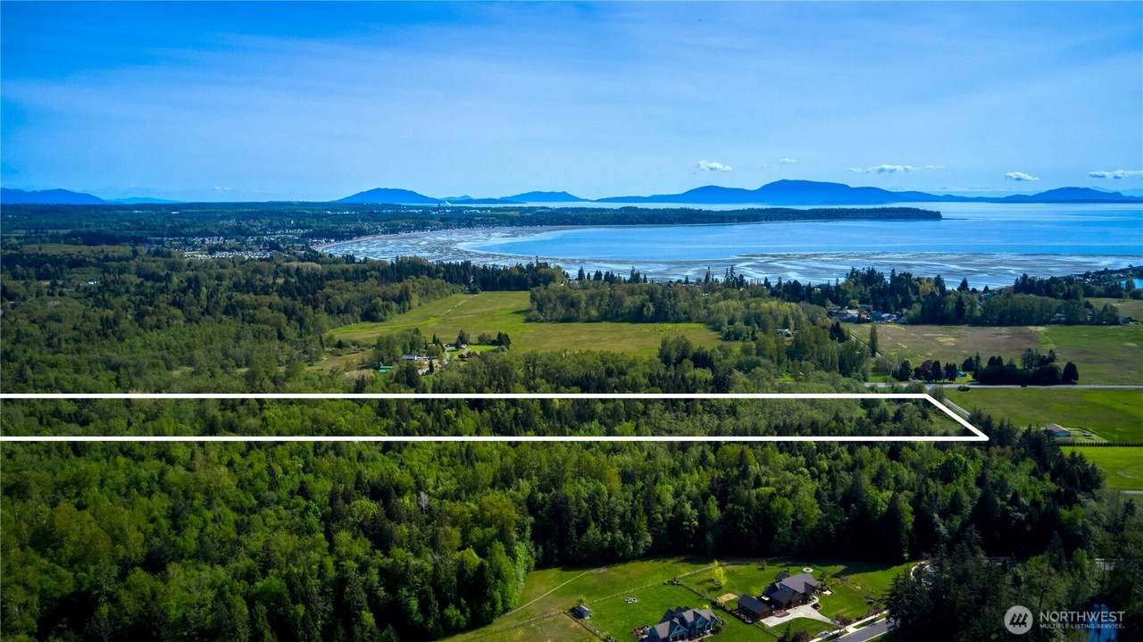 50 Acres Lincoln And Shintaffer Road - Photo 1