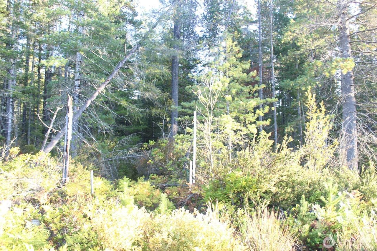 3511 Tahuya Blacksmith Rd - Photo 1