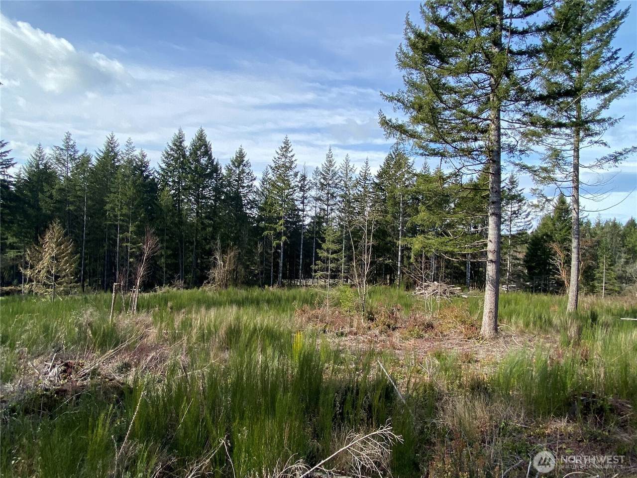 15608 176th Avenue - Photo 1