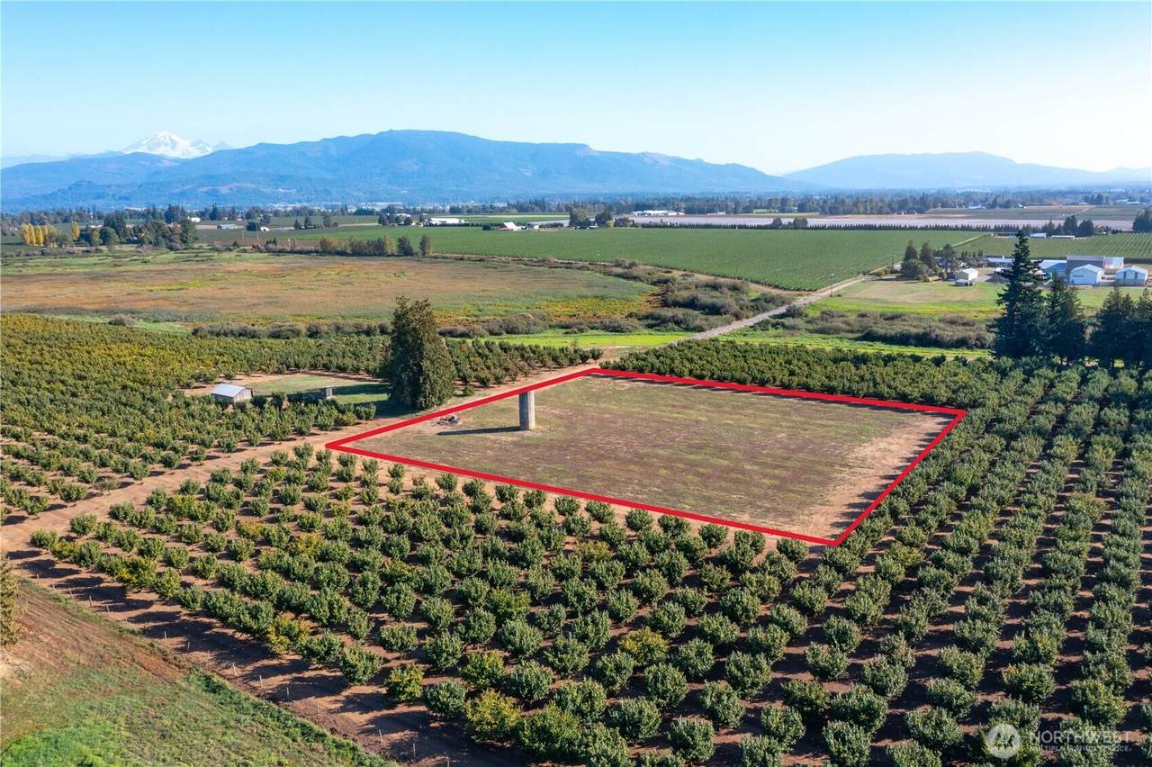 9919 Holmquist Road - Photo 1