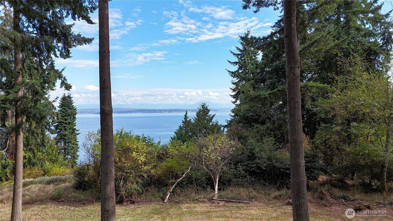 4979 Blue Lady Lane - Photo 1