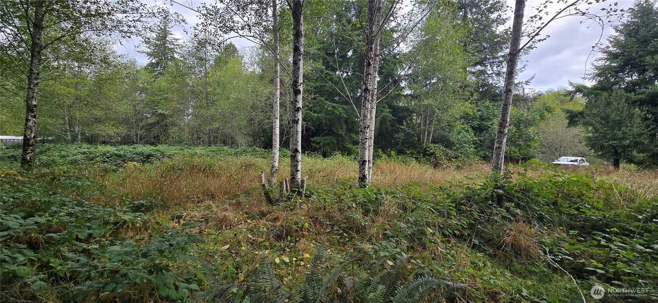 1351 Satsop Road - Photo 1