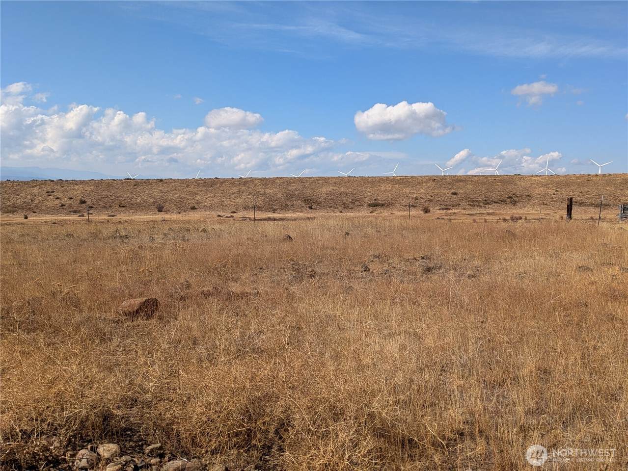 1151 Flying Rock Road - Photo 1