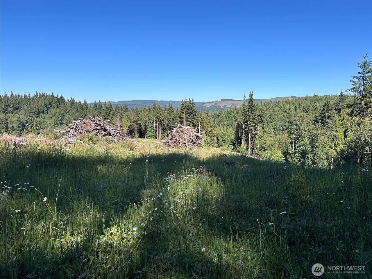 125 Talkeetna Heights Place - Photo 1