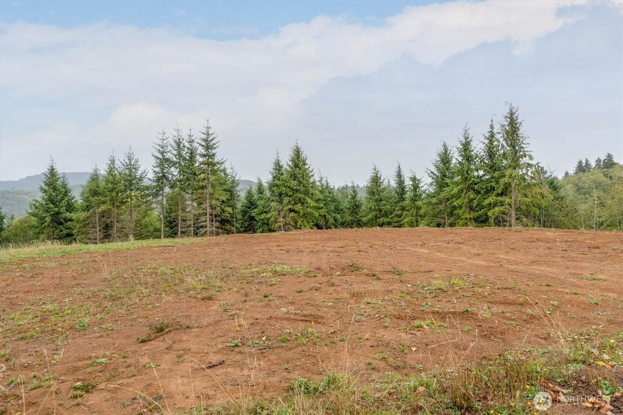 307 Greenwood Road - Photo 1