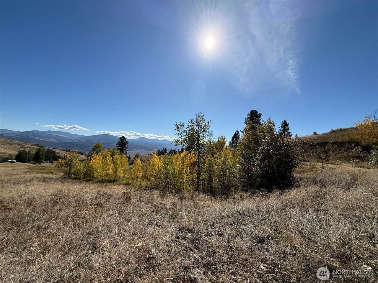 0 Honeysuckle Lane - Photo 1