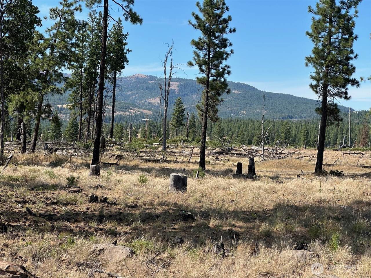 0 Lee Road - Photo 1