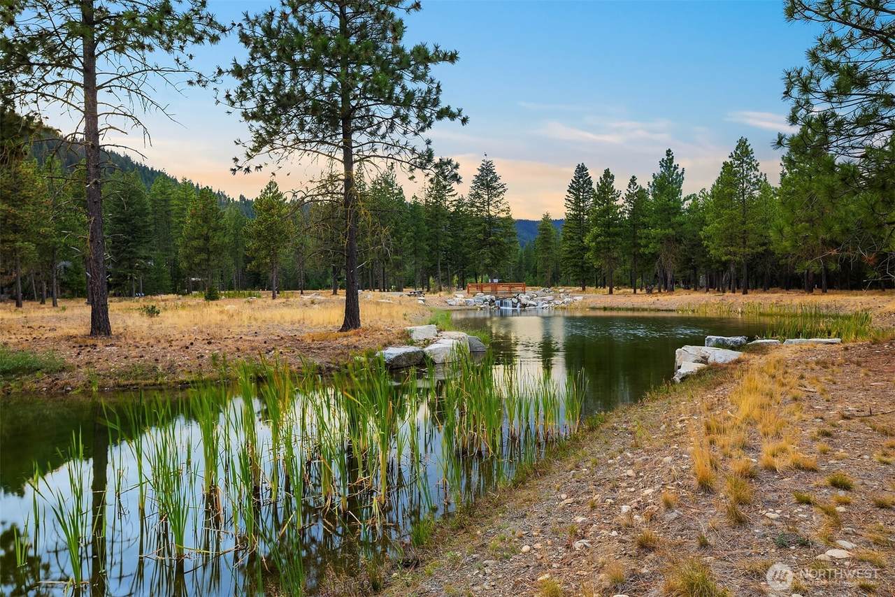 11 Gold Leaf Lane - Photo 1